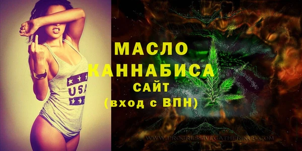 индика Арсеньев